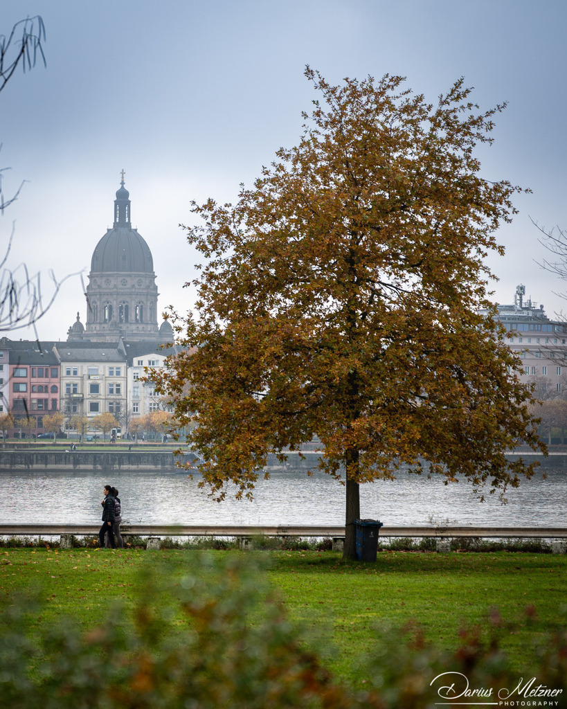 DSC_4370 | Fotografien, Fotos und Bilder aus Mainz, Frankfurt, Wiesbaden und anderen Orten auf der Welt - Fotografiert von Darius Metzner