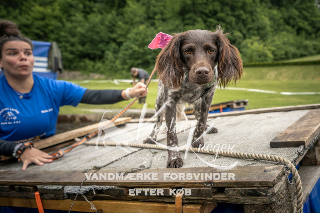 1015_ZZ95431 | kk-dogfotos