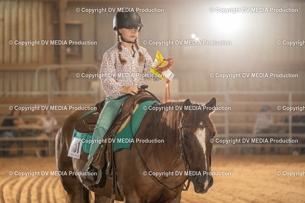 NID02841 | dv-media-shop - Realisiert mit Pictrs.com