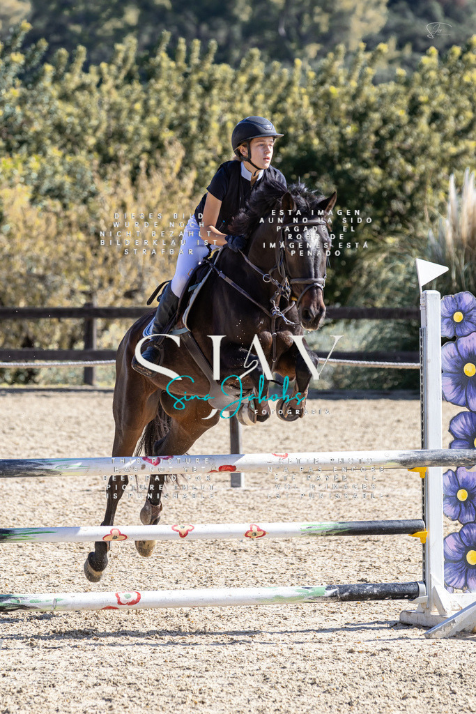 IMG_6382 | s-jay-photography - Realisiert mit Pictrs.com