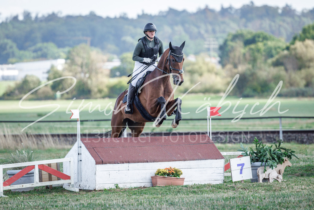20260905-_3LI0046 | Tierfotografie Pferde, Hunde, Katzen, Haustiere.
Turnierfotografie Reitturniere, Reiten, Springreiten, Dressur in Hanau, dem Main-Kinzig-Kreis und dem Rhein-Main- Gebiet um Frankfurt