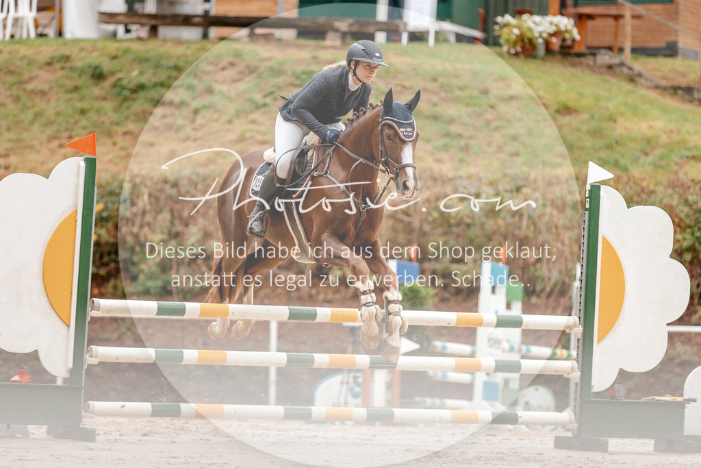 3I6A5795 | Stimmungsvolle Portraits und Reitsportfotografie im Ruhrgebiet und im Münsterland.

Pferdefotografie, Hundefotografie, Tierfotografie, Reportagen, Portraits von Tier und Mensch, Turnierfotografie in Bochum, Recklinghausen, Marl, Haltern am See, Dülmen.. - Realisiert mit Pictrs.com