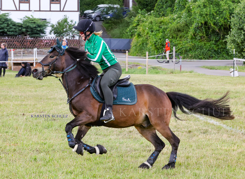 1B3A4461 | Reitsport Reiten