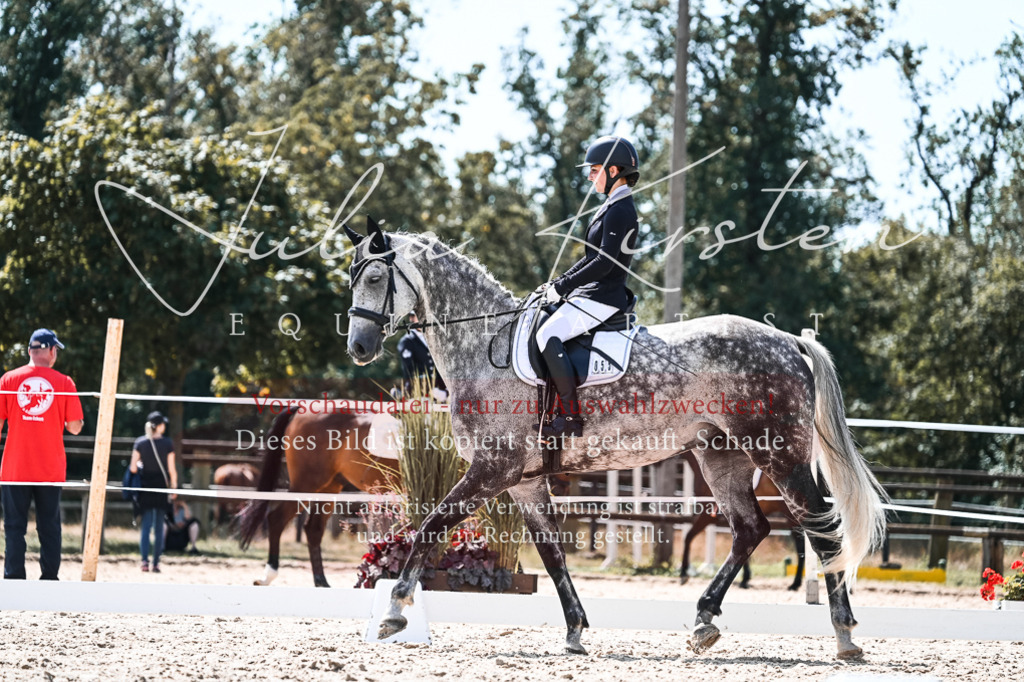 DSC_5582 | Pferde- und Turnierfotografie in Westsachsen. Pferdeportraits, Auftragszeichnungen und intuitive Kunst.