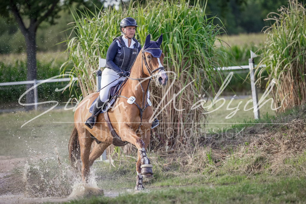 20250906-_3LI7447 | Tierfotografie Pferde, Hunde, Katzen, Haustiere.
Turnierfotografie Reitturniere, Reiten, Springreiten, Dressur in Hanau, dem Main-Kinzig-Kreis und dem Rhein-Main- Gebiet um Frankfurt