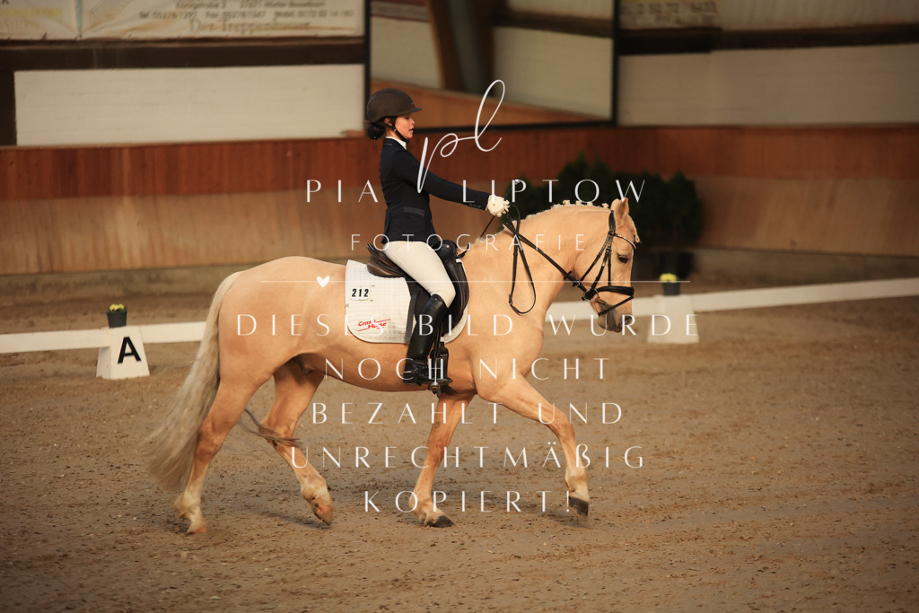 IMGT3231 | pl-fotografie