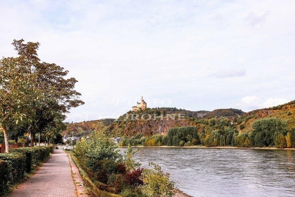 spay-2039 | Am  Rheinufer führt der alte Leinpfad entlang. Auf ihm liefen früher die Pferde, die vor der Erfindung der Dampfmaschine, die Schiffe rheinaufwärts zogen. - Realisiert mit Pictrs.com