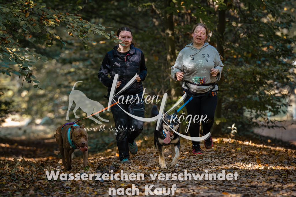 1114_ZZ91833 | kk-dogfotos