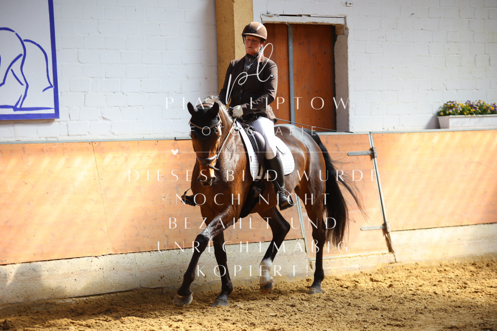 IMGT7209 | pl-fotografie