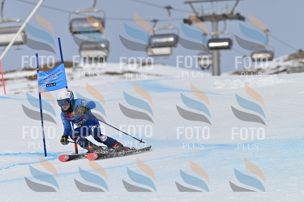 BGV_4999 | holidayphoto