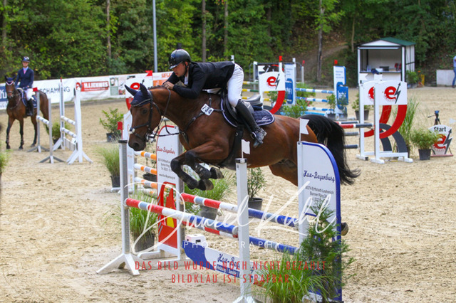 DKP40567 | Turniersportfotografie; Pferdefotografie; Dressurfotografie