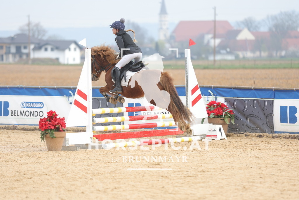 0P6A8688 | Willkommen bei Brunnmayr - Design & Fotografie – Ihrem Spezialisten für Reitturniere und Pferdeveranstaltungen in Oberösterreich, Salzburg und Bayern! Seit über 17 Jahren sind wir leidenschaftlich dabei.
