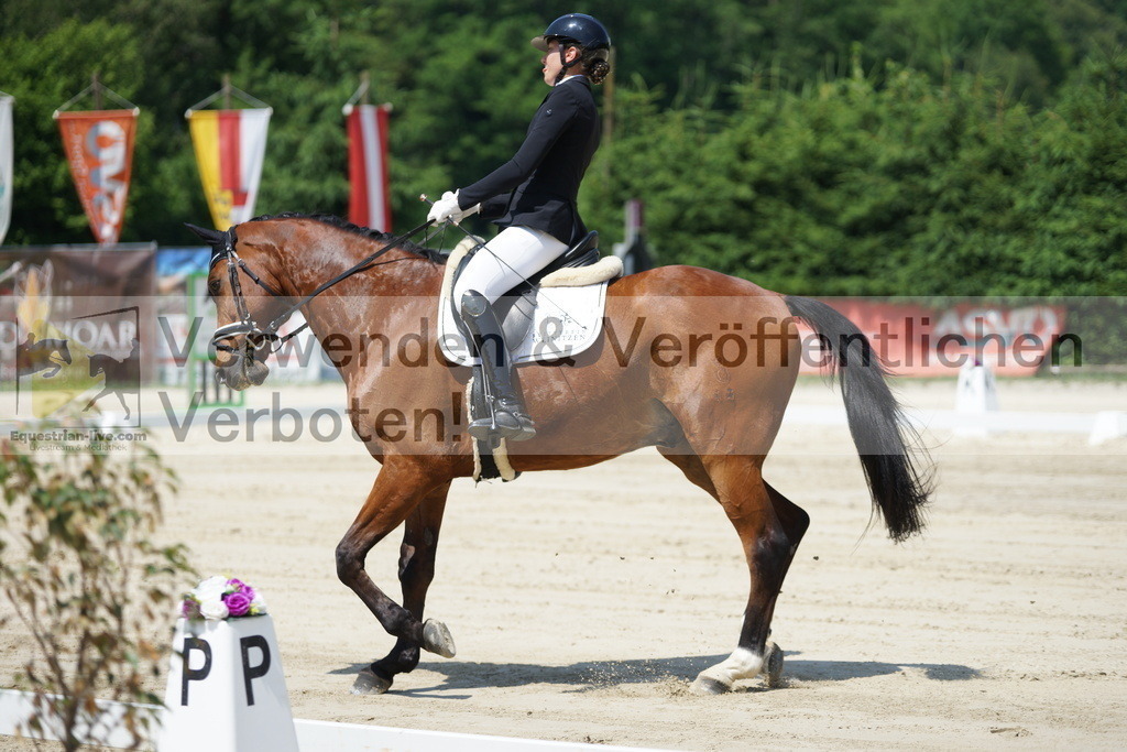 DSC04785 | equestrian-live-com