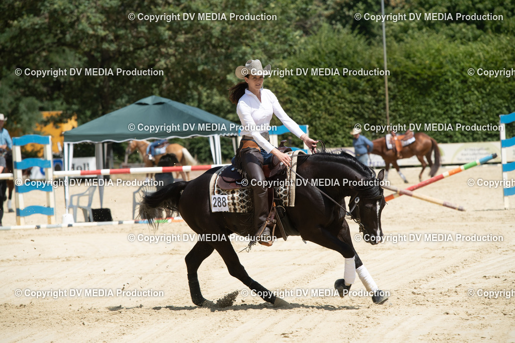 ZS3_0001 | dv-media-shop - Realisiert mit Pictrs.com