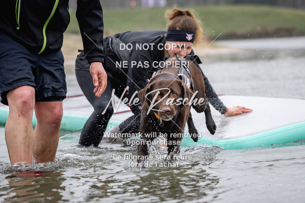 nelerasche_Hulsbeek_Sa1130-1230_354 | nelerasche