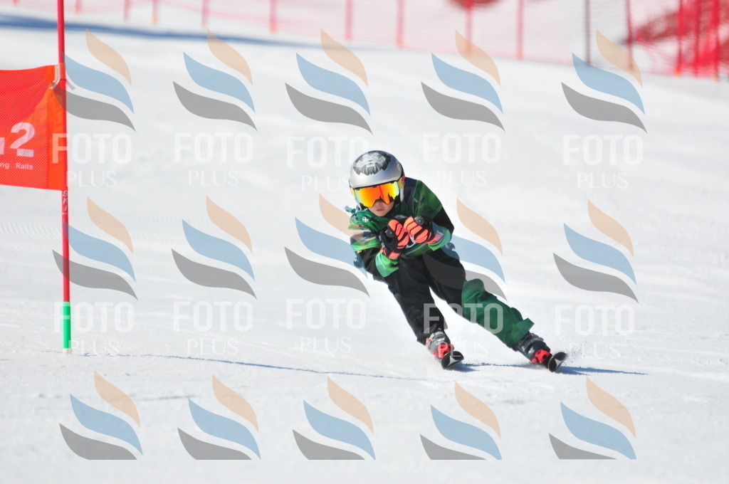 C2196 | holidayphoto