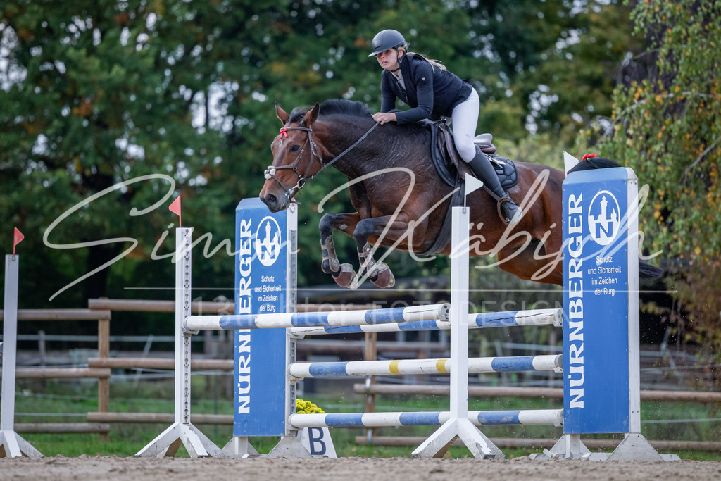 20251012-_3LI5301 | Tierfotografie Pferde, Hunde, Katzen, Haustiere.
Turnierfotografie Reitturniere, Reiten, Springreiten, Dressur in Hanau, dem Main-Kinzig-Kreis und dem Rhein-Main- Gebiet um Frankfurt