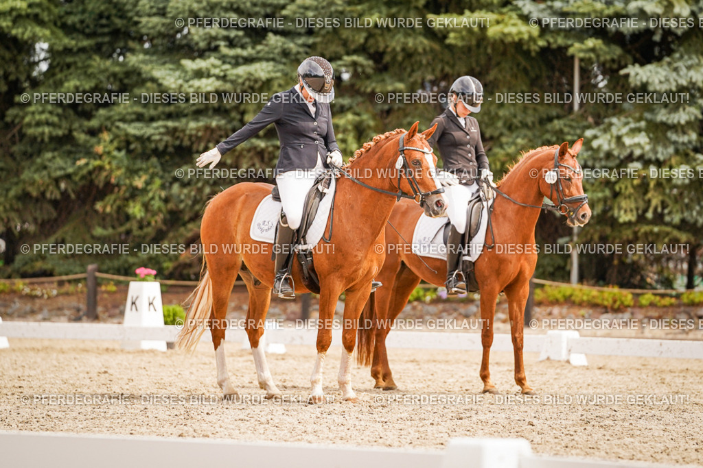 DSC02071 | Pferdegrafie