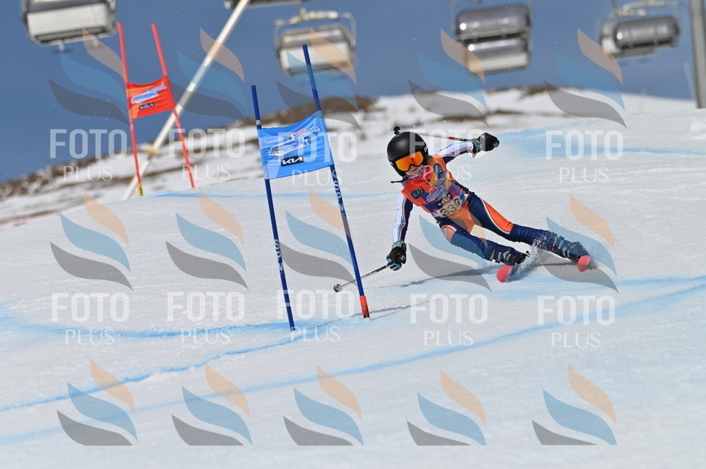 BGV_6719 | holidayphoto