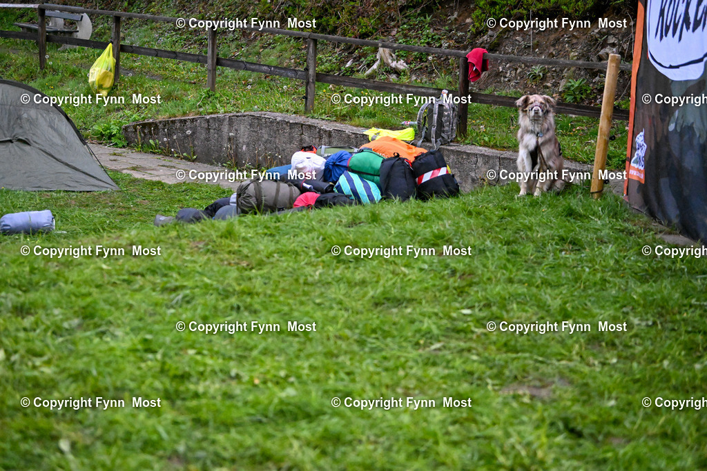 DSC_2531 | Hallo und herzlich Willkommen auf meiner Shop-Seite Fynn Most.

Ich wünsche Dir viel Spaß beim stöbern durch die Bilder, wenn Du Fragen hast oder Bilder vermisst, kannst du mir gerne eine Nachricht schreiben. - Realisiert mit Pictrs.com
