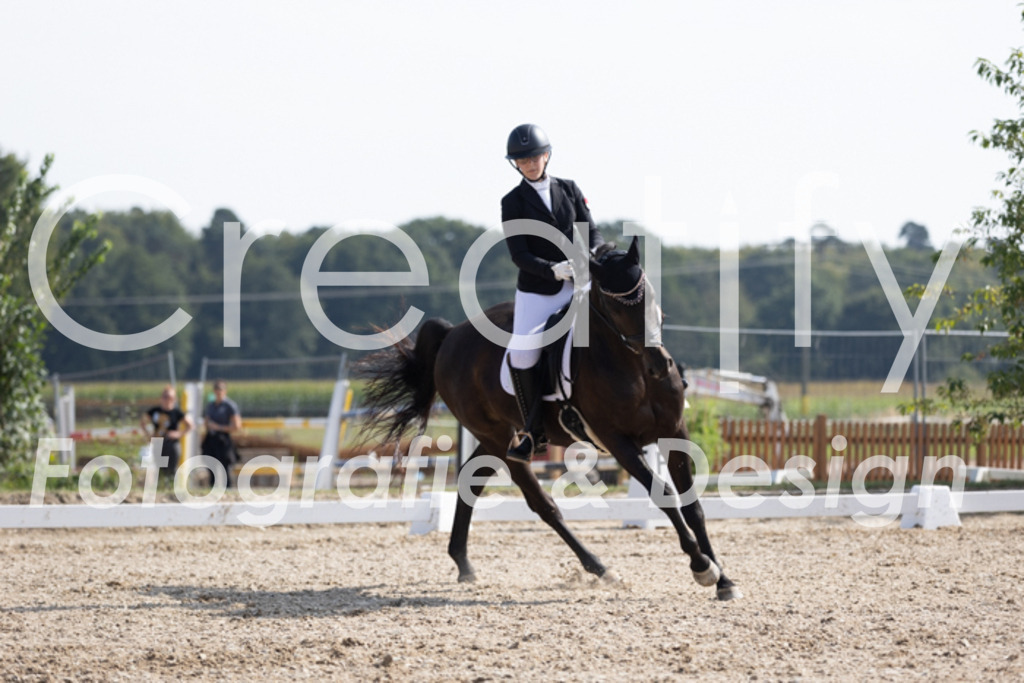 IMG_3379 | Creatify Fotografie