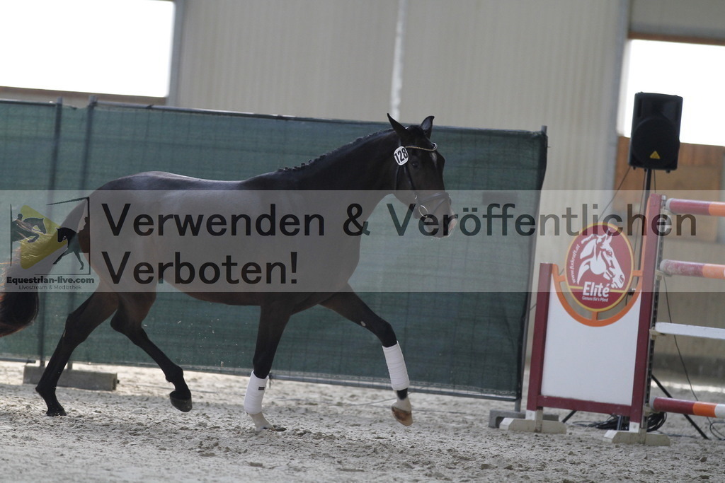 _MG_9845 | equestrian-live-com