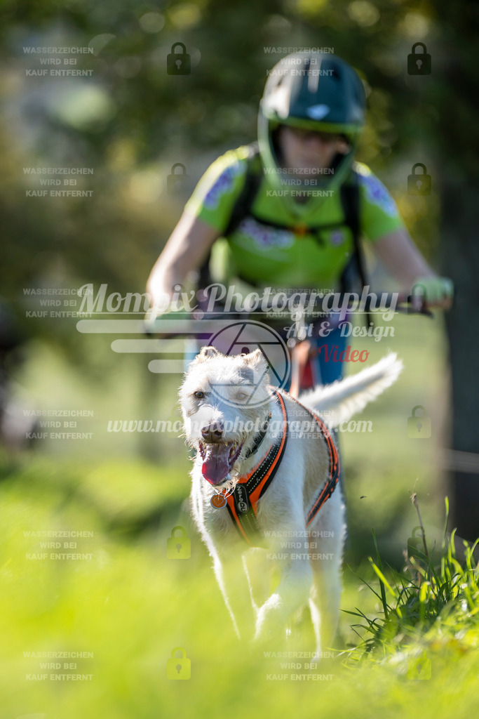 MompixPhotography_20TSB_E3_DS1-74 | PayLife