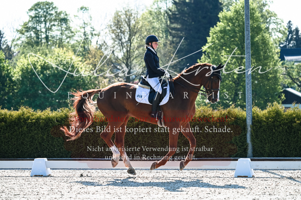 20230513_JK-Röhrsdorf-10-0002 | Pferde- und Turnierfotografie in Westsachsen. Pferdeportraits, Auftragszeichnungen und intuitive Kunst.