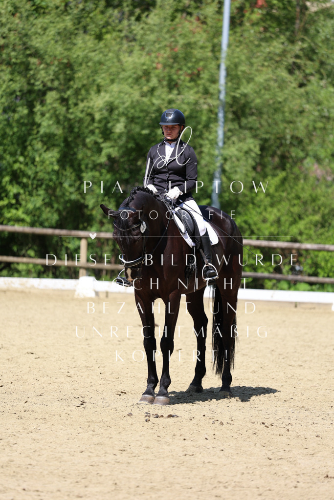 IMGS3928 | pl-fotografie