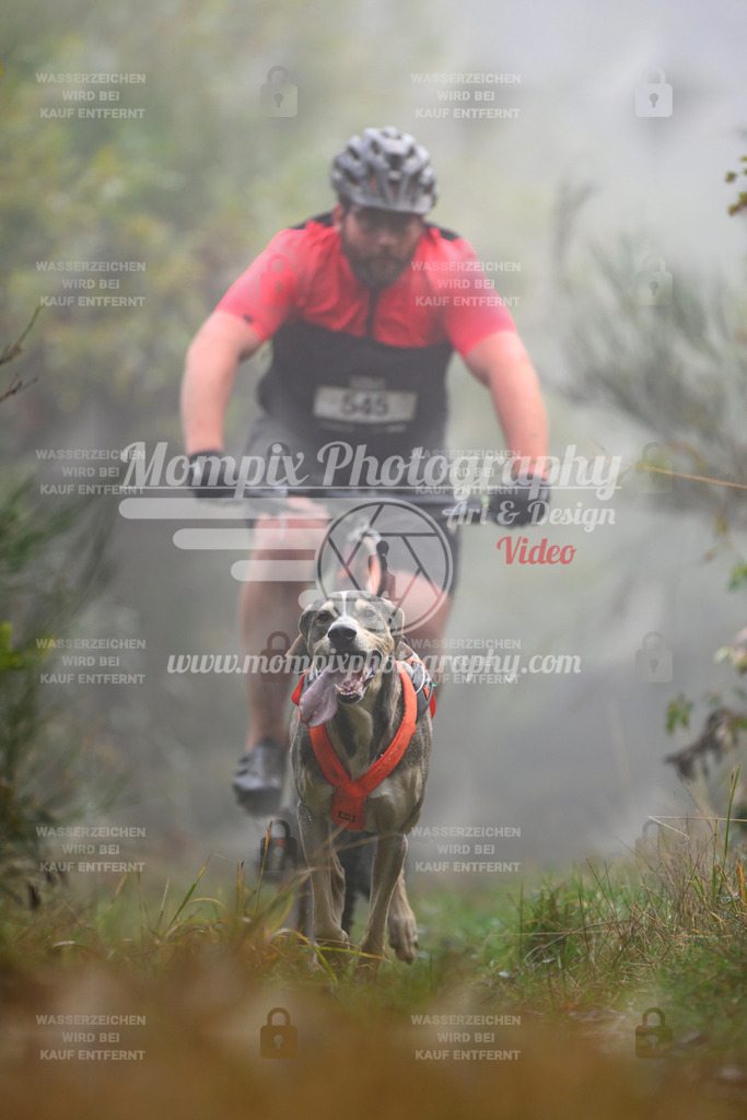 MompixPhotography_20TSB_E4_Bike-107 | PayLife