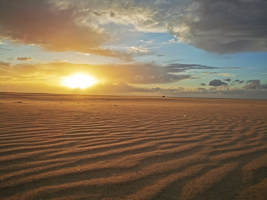 IMG_20240926_191513 | Pandiboo - Realisiert mit Pictrs.com