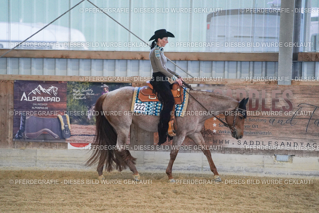 DSC09106 | Pferdegrafie