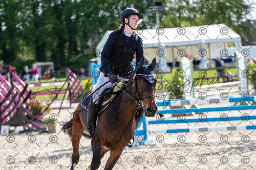 KPT_4676 | andre_photographic