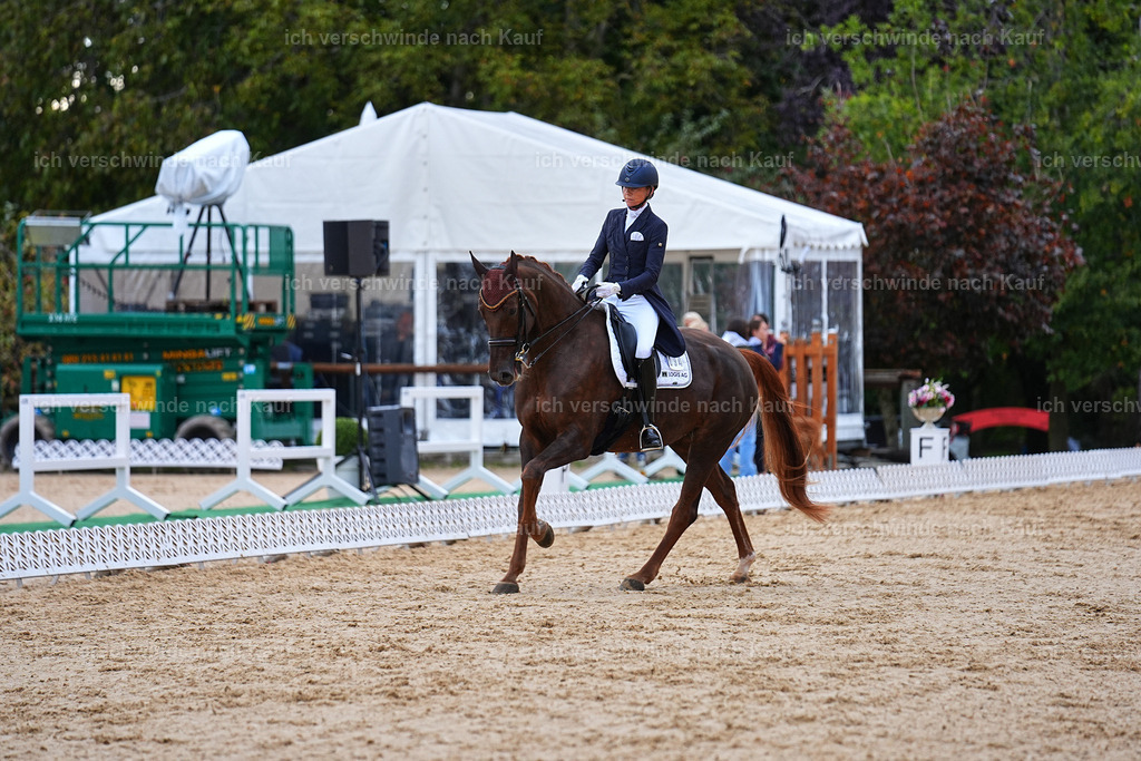 8_1-094-Klasse S_  -Marixx-4135 | working equitationturnier fotograf videograf stoibphotography marixx film working equitation deutschland reitsport turnierfotografie eventfotografie equestrian events