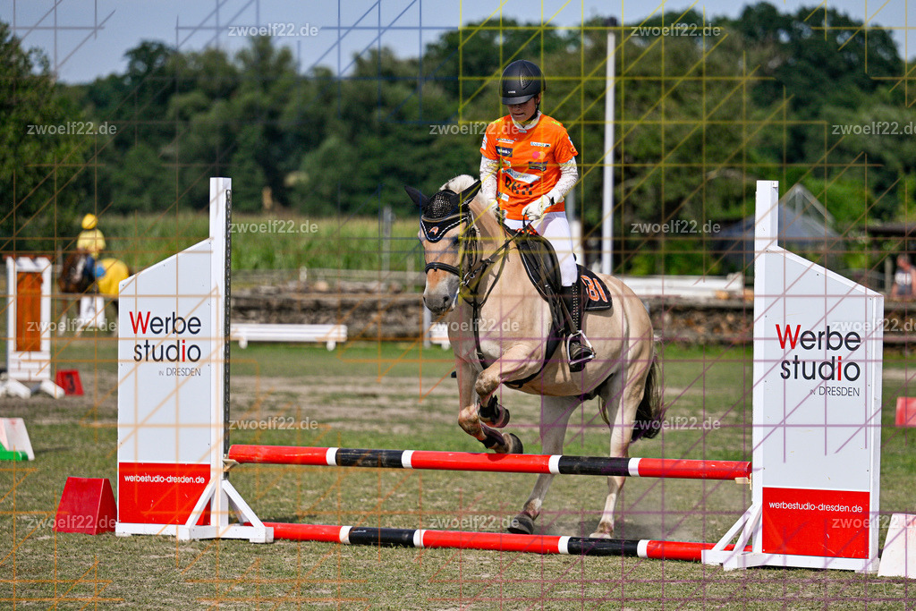 30 Jahre RFV Pulsnitz e.V., Pulsnitz am 09.08.2026 | Zur 28. breitensportlichen Veranstaltung des RFV Pulsnitz e.V. fanden verschiedene Wettbewerbe in nahezu allen Disziplinen des Pferdesport statt. - 05 Kostüm-Stilspring-Wettbewerb - Realisiert mit Pictrs.com