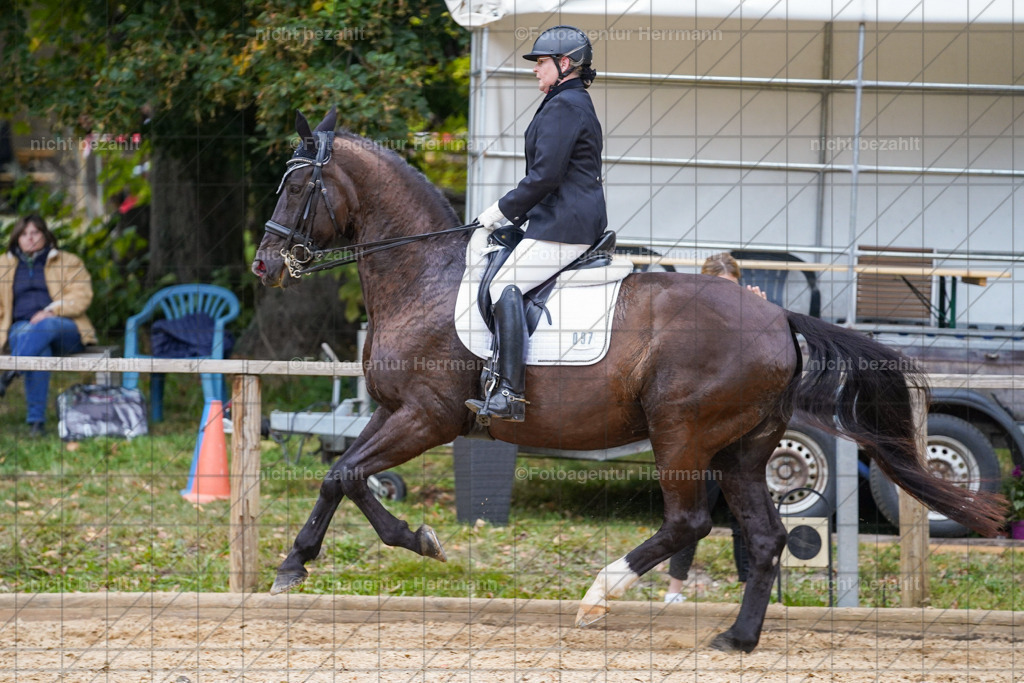 20231007-SN_00963 | Professionelle Turnier- und Reitsportfotografie - mit dem Finger am Auslöser. Pferdebilder aus dem Reitsport von den Turnierfotografen  Bayern , Pferdefotograf Bayern, Pferdeshooting Turnierbilder, Hochzeitsfotograf, Eventfotograf, Hochzeitsbilder