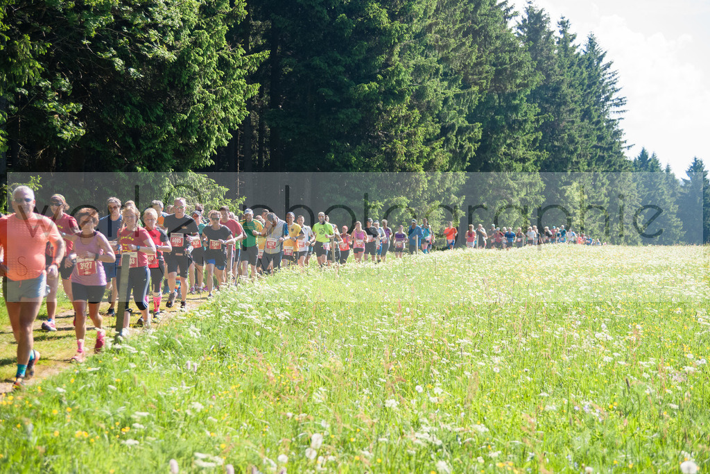 Rennsteiglauf 2018 | Neuhaus/Rwg. - Schmiedefeld am 26. Mai 2018