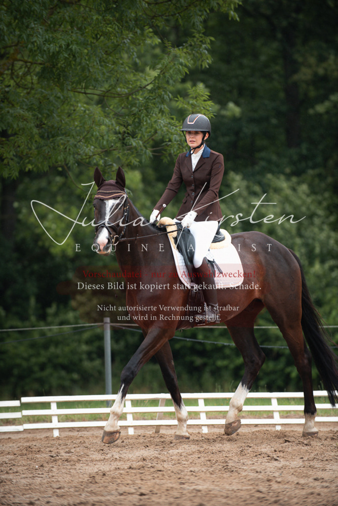 DSC_9747 | Pferde- und Turnierfotografie in Westsachsen. Pferdeportraits, Auftragszeichnungen und intuitive Kunst.