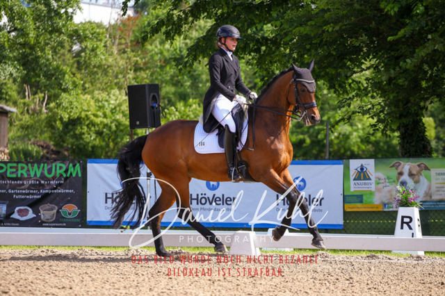 DKP41402 | Deine Turnierfotos vom Reitturnier online kaufen: Dressur, Springen & Siegerehrung. Professionelle Pferdefotografie aus dem Rheinland – als Download & Print.Alternative: Turnierfotograf für den Pferdesport: Finde deine Fotos von Dressur- und Springturnier