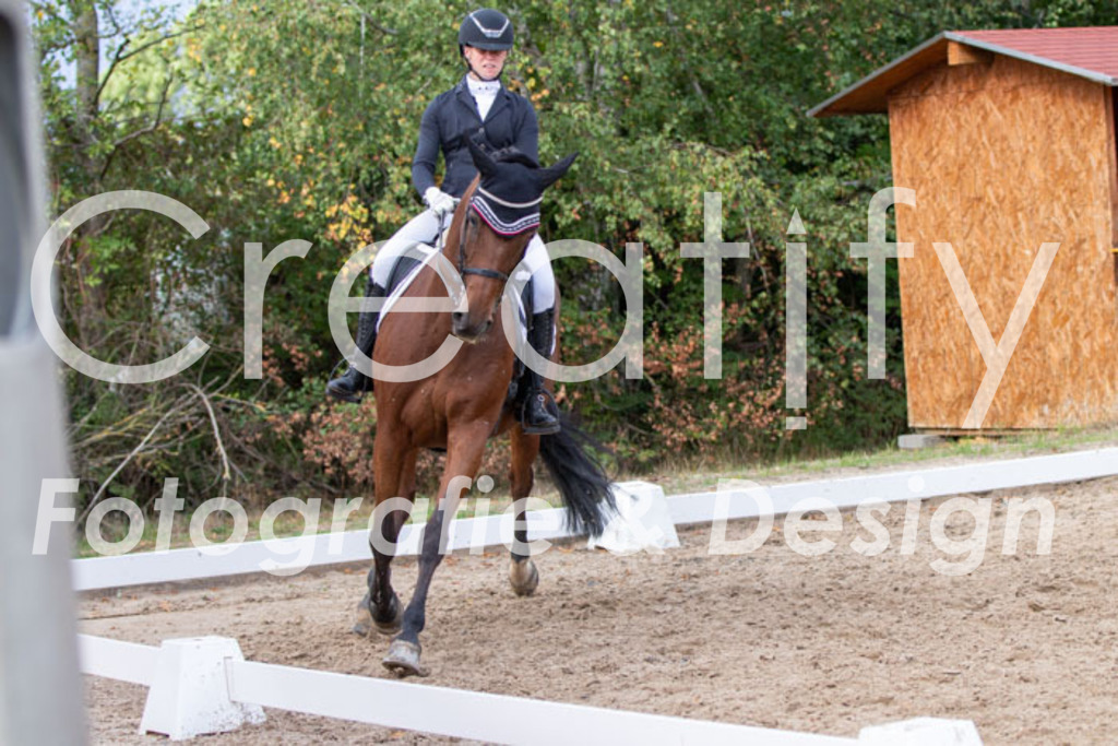 IMG_5346 | Creatify Fotografie