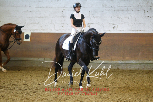 DKP44080 | Turniersportfotografie; Pferdefotografie; Dressurfotografie