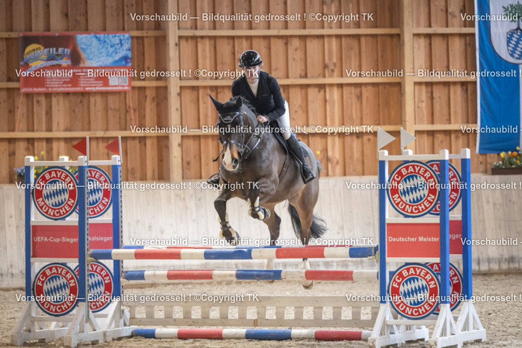 _D5A7703 | Emotionale Pferde- & People-Fotografie rund um Heidelberg, Leimen & Umgebung. Natürliche Fotos von Pferd, Mensch & Familie. Jetzt Termin sichern!