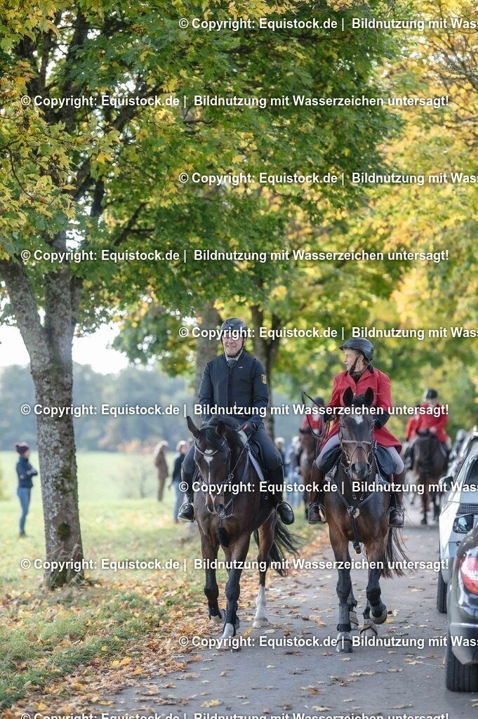 20251011_Jagd-Marbach_0282 | Foto: Thomas Hartig