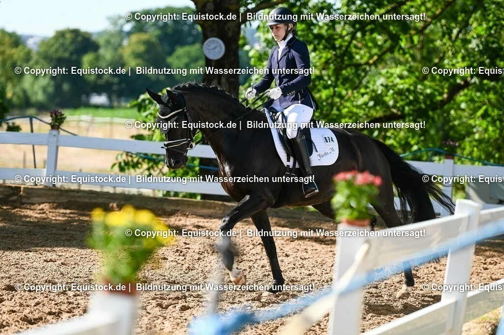 20230715_06_Dressurpferdeprfg. Kl.A_0247 | equistock