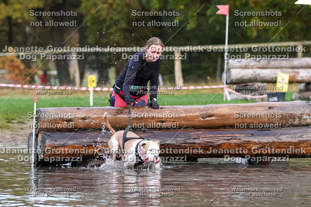 Dog Paparazzi - Strongdog 10-25-6725 | Dog Paparazzi Jeanette Grottendiek Fotografie & Videografie - Realisiert mit Pictrs.com