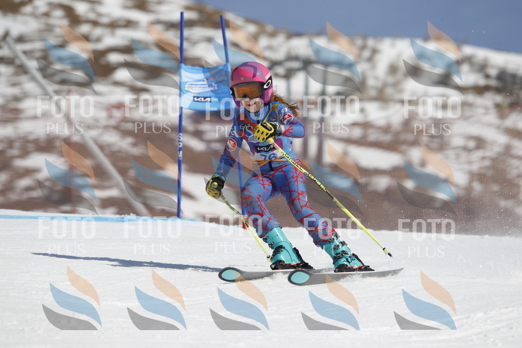 _U3G9919 | holidayphoto