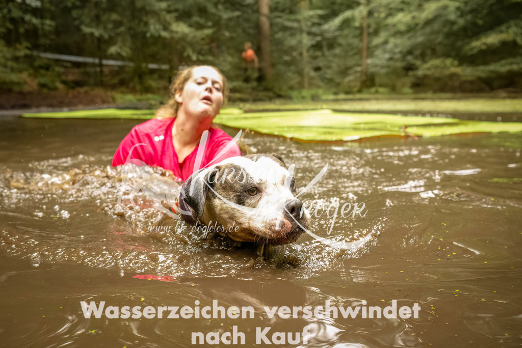 1427_ZZ92481-Bearbeitet | kk-dogfotos