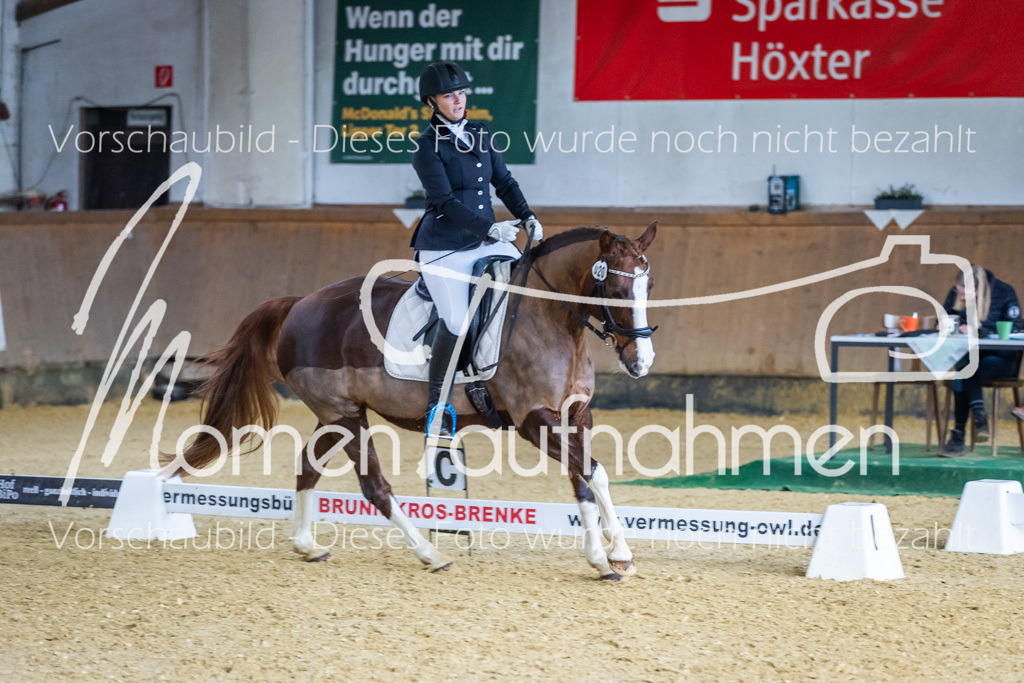 Sth-WBO25-EDr-098 | MomenTaufnahmen Pferdesportfotos