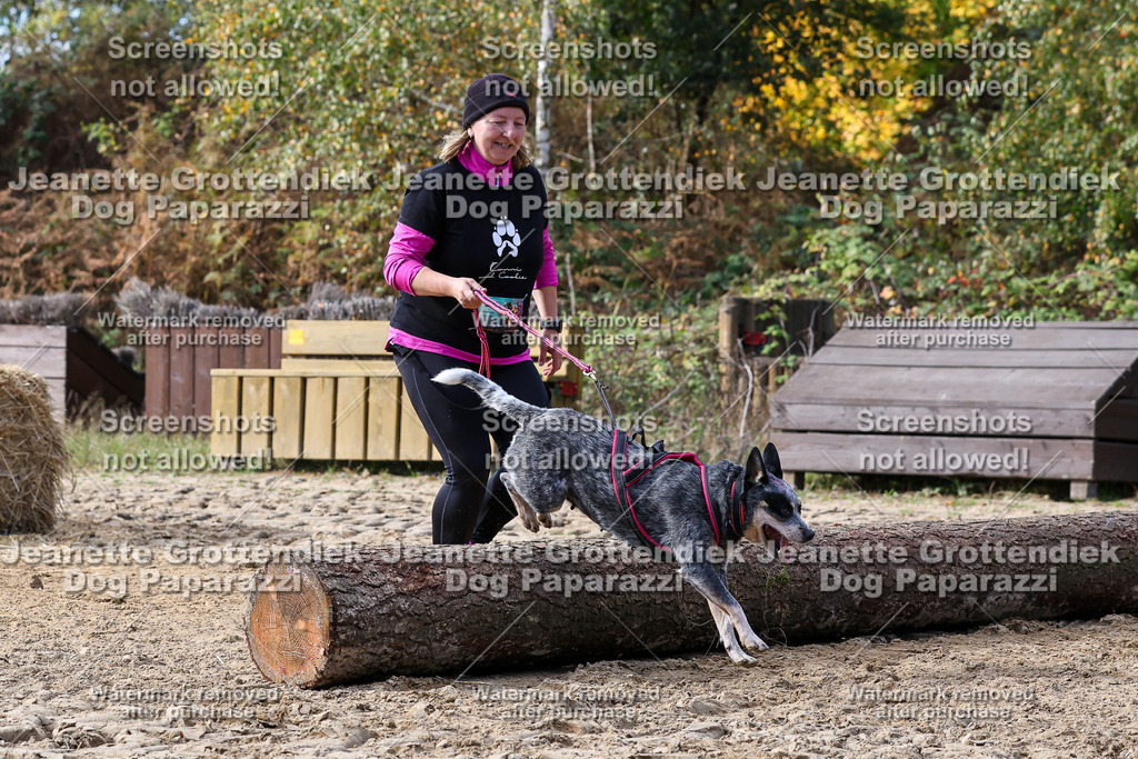 Dog Paparazzi - Strongdog 10-25-5423 | Dog Paparazzi Jeanette Grottendiek Fotografie & Videografie - Realisiert mit Pictrs.com