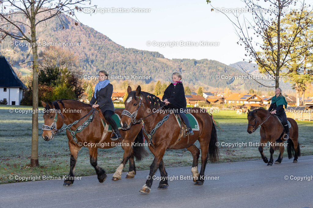 LL24-97 | foto-bettina-krinner - Realisiert mit Pictrs.com